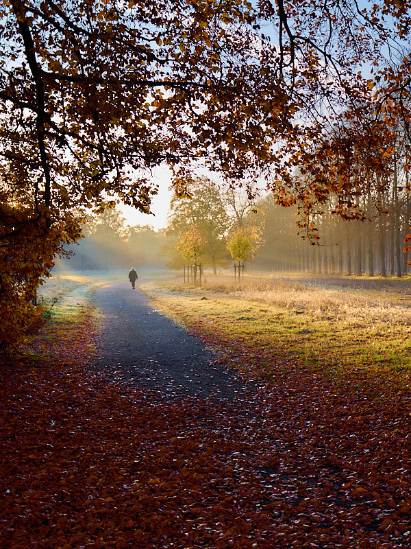 Herbstlicher Georgengarten